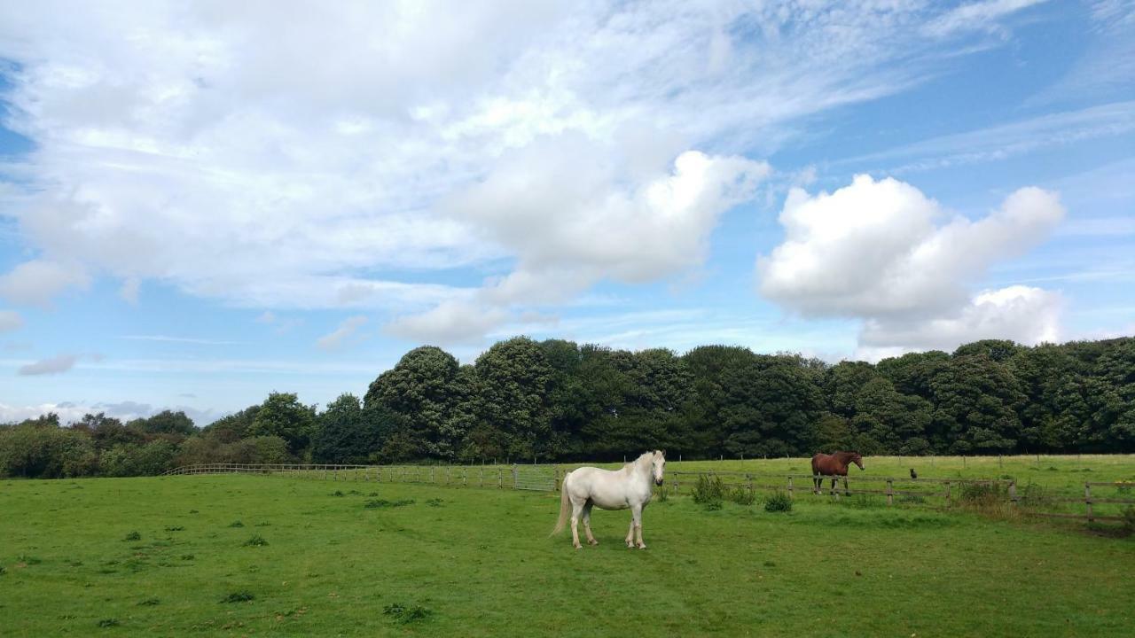Beech Hill B&B Weaverham Exteriér fotografie